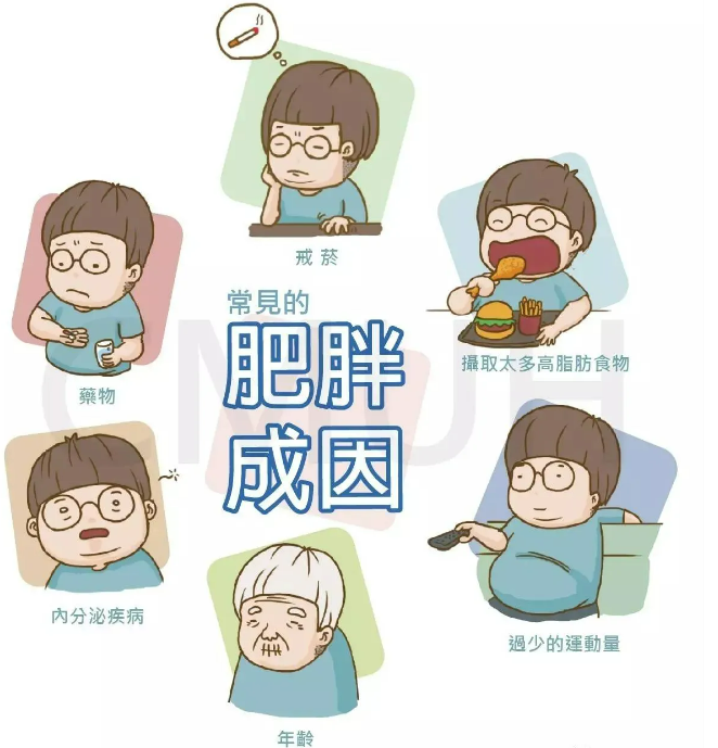 1753176400121422.png 圖片3.png
